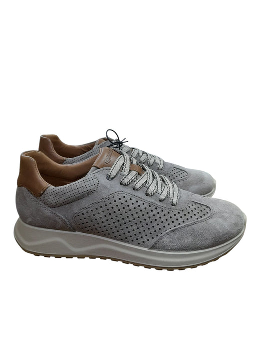 Sneakers IGI&CO scarpa sportiva da uomo MADE IN ITALY in camoscio special peltro