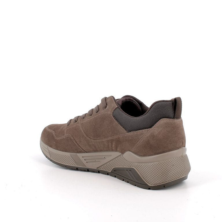 Scarpa uomo ENVAL SOFT sneakers MADE IN ITALY in camoscio/crosta tortora