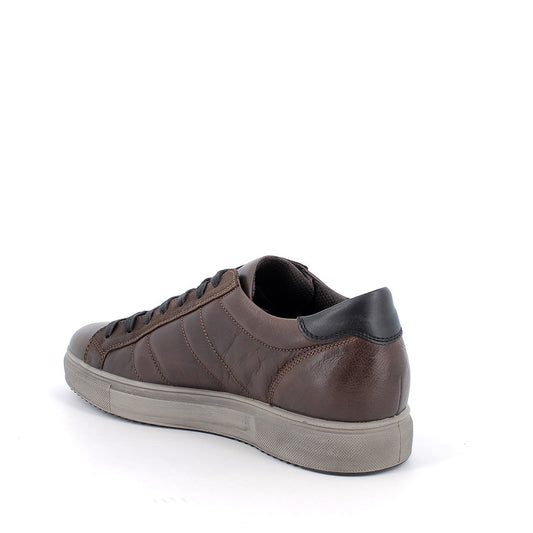 Scarpa uomo IGI&CO sneakers MADE IN ITALY in pelle di vitello rag caffe