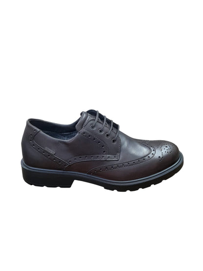 INGLESINA IGI&CO scarpa da uomo MADE IN ITALY in pelle/vitello alfa moro con GORE-TEX