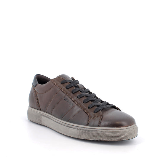 Scarpa uomo IGI&CO sneakers MADE IN ITALY in pelle di vitello rag caffe