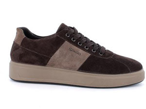 Sneakers IGI&CO scarpa sportiva uomo IGI&CO MADE IN ITALY in camoscio testa di moro