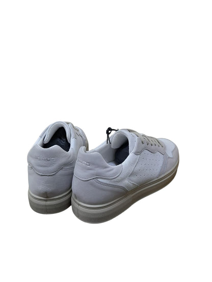 Sneakers IGI&CO scarpa sportiva MADE IN ITALY da uomo camoscio bianco e  nabuk grigio