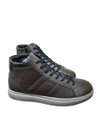 Sneaker IGI&CO scarpa uomo MADE IN ITALY pelle/vitello caffè a colletto alto