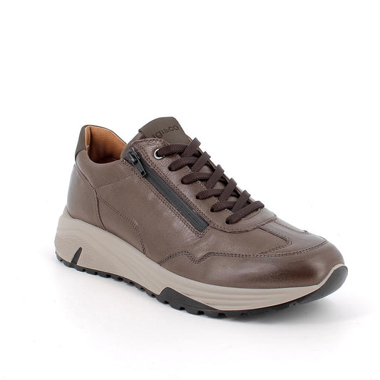 Sneakers IGI&CO scarpa sportiva/casual uomo MADE IN ITALY in pelle/vitello rag caffe
